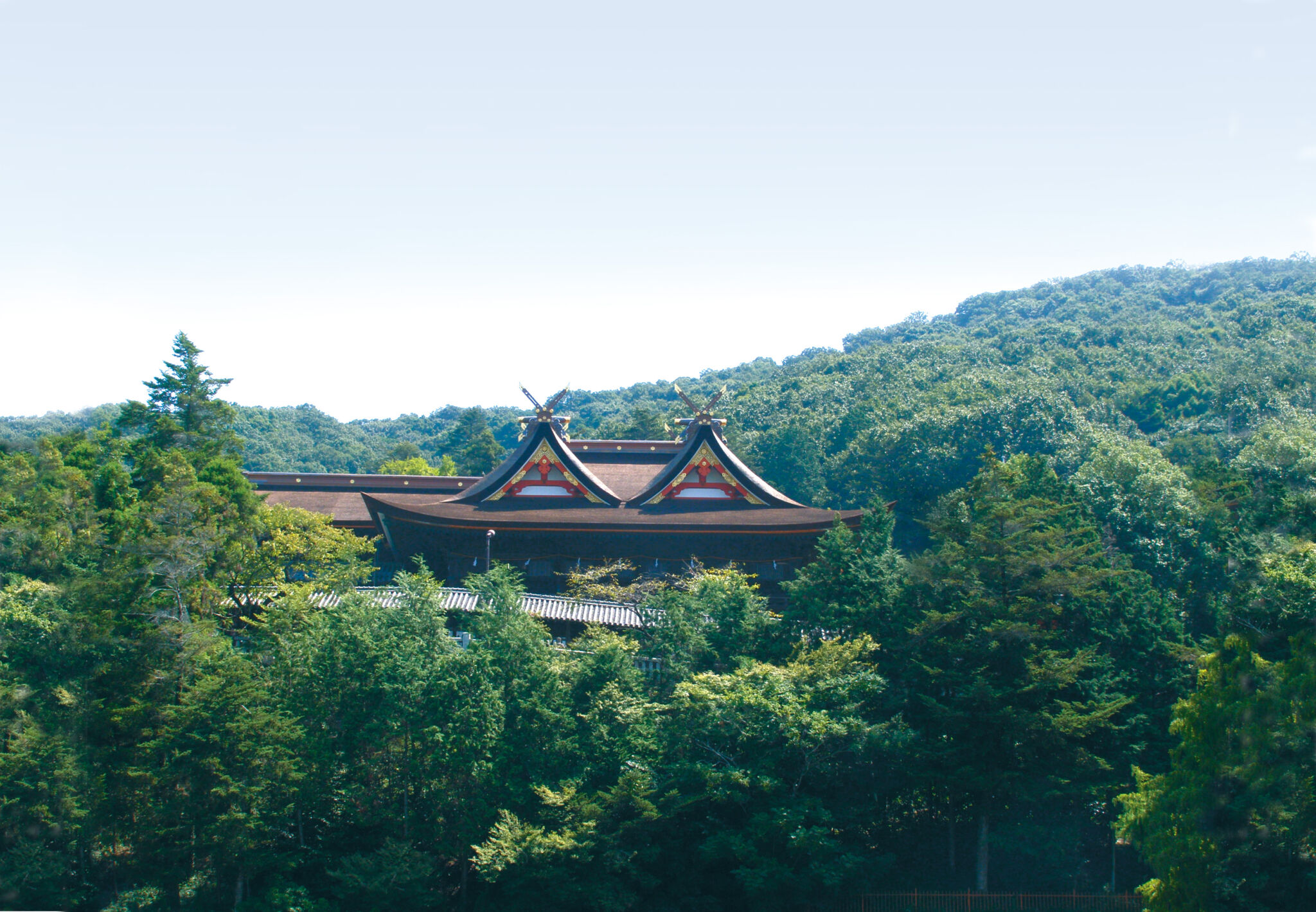 VOL.3 日本茶の歴史と吉備津神社のイメージ写真